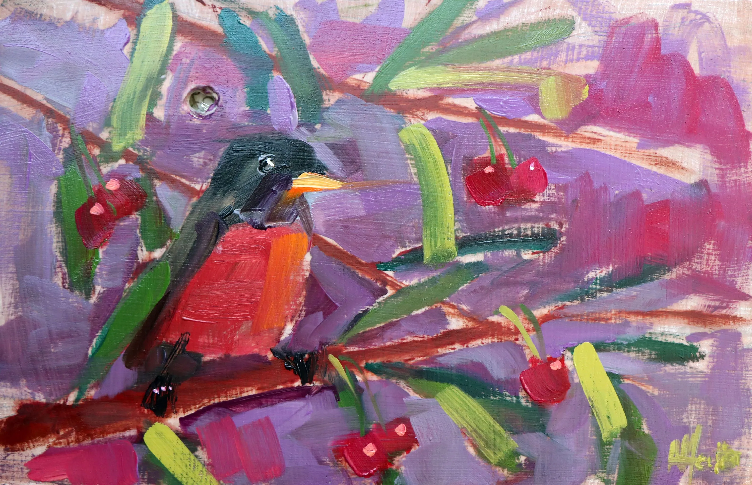 American Robin and Cherries