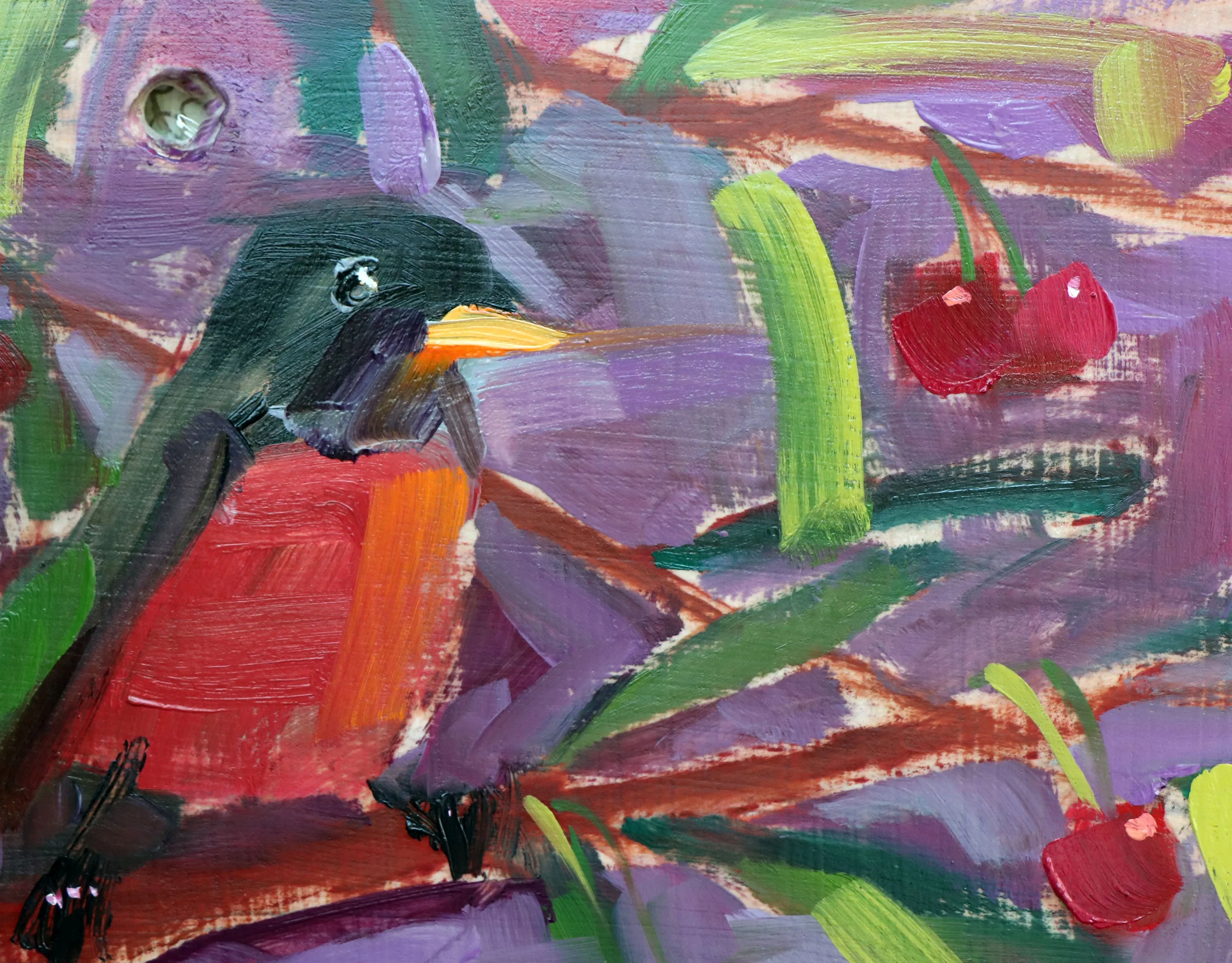 American Robin and Cherries