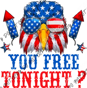 Are You Free Tonight Eagle DTF Transfer