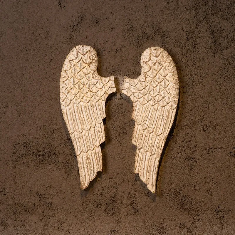 Mini Angel Wings Set